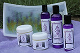 Wisconsin lavender lotions and creams